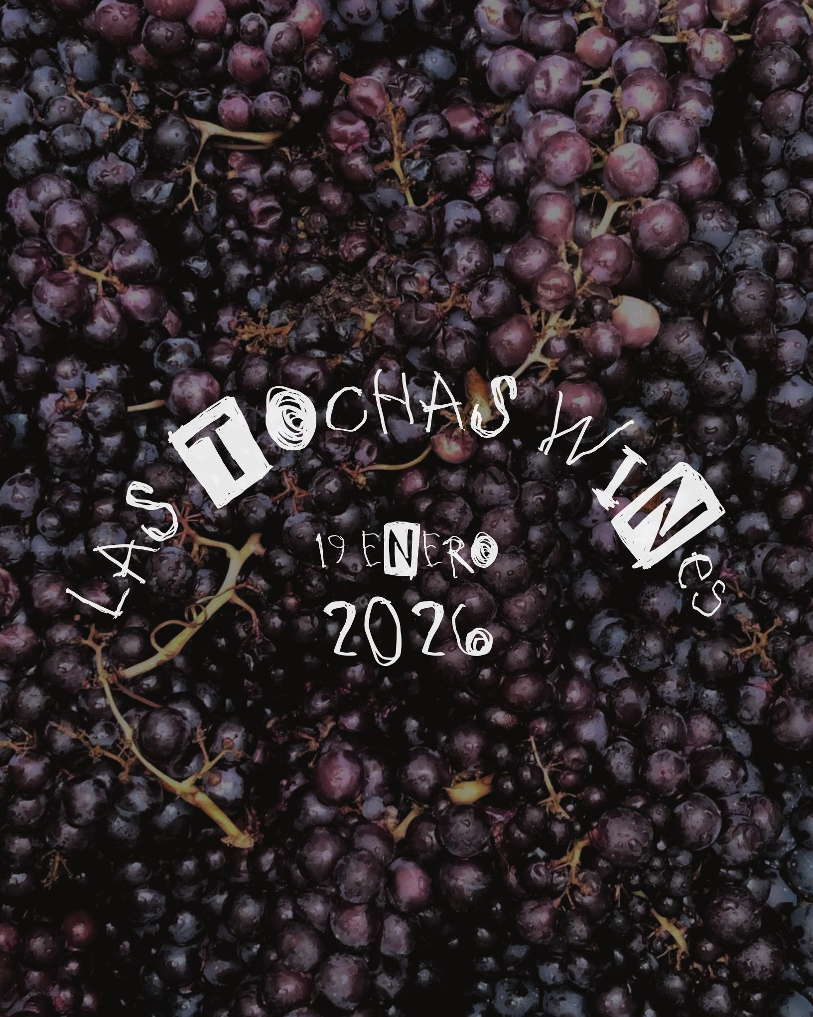 Entrada + Feria + Almuerzo + Cena Paulée